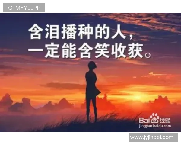 余嘉豪的奋斗历程与成长故事揭示了年轻人追梦的勇气与坚持