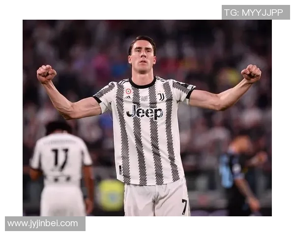 弗拉霍维奇在意甲赛场的崛起与未来发展潜力分析 弗拉霍维奇在意甲赛场的崛起与未来发展潜力分析